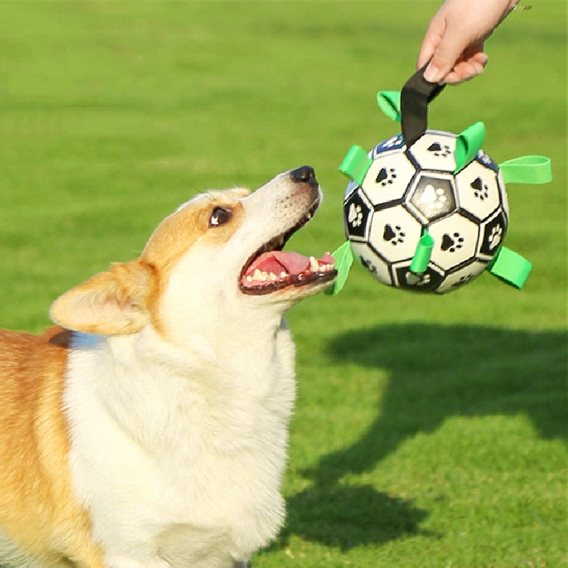 Dogbal | Voetbal met touwtjes