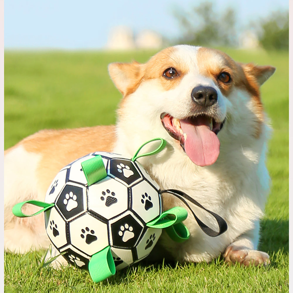 Dogbal | Voetbal met touwtjes